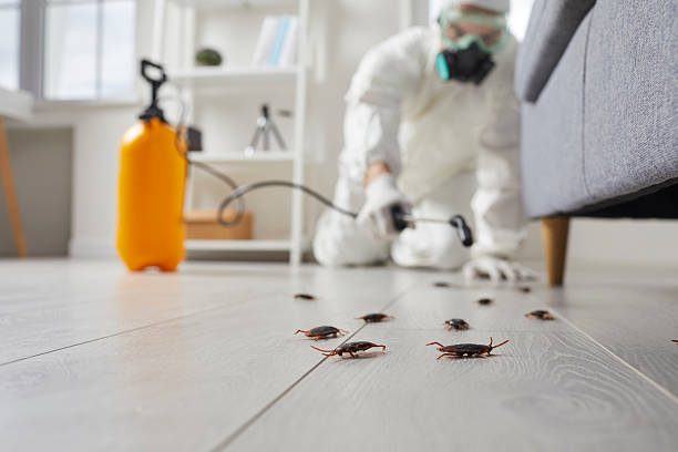Commercial Kitchen Cockroach Control in Centerburg